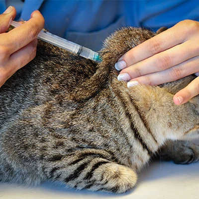 vaccinations obligatoires